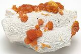 Vibrant Orange Orpiment Crystals on Barite - Russia #208757-1